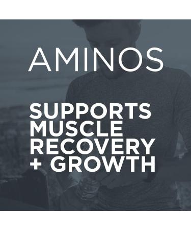 Aminos | 4g Free-Form Amino Acids & Beta-Alanine - 0 Sugar 60 Servings (Grape Gatsby) - Shop Internationally - Buy Online on GoSupps.com