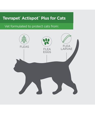 TevraPet Actispot II Flea Treatment for Cats 6 Doses - Large Cats 9+ lbs | Effective Prevention & Control - Buy Online on GoSupps.com