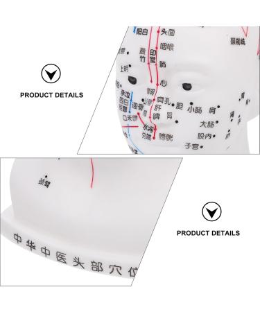 Frcolor Acupuncture Point Model - Realistic Medical Head Massage Aid for Schools & Hospitals | PVC Learning Tool 22x12x8cm - Buy Online on GoSupps.com