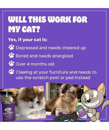 Cat Crack Catnip Premium Blend - Infused with Maximum Potency for Hours of Kitty Fun! 4 Cups - Buy Online on GoSupps.com