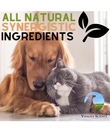 Vitality Science Super Pet Enzymes for Cats | All Natural & High Potent Plant-Based Formula | Promotes Digestion & Nutrient Absorption | Supports Gastrointestinal Health | Small - Buy Online on GoSupps.com
