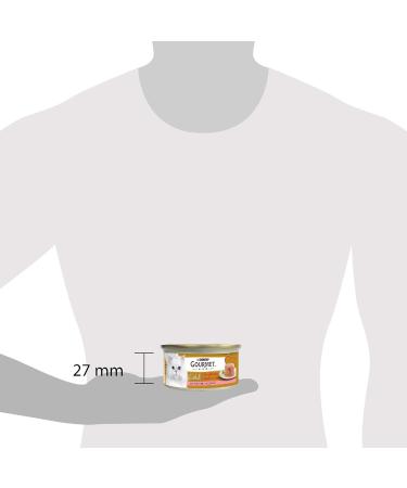 Purina Gourmet Gold Soft Hearts Wet Cat Food with Salmon - 24x85g Cans | Premium International Shipping - Buy Online on GoSupps.com