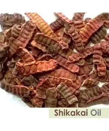 Shikakai (Acacia Concinna) Oil 100% Natural & Pure Undiluted Uncut Cold Pressed Oil Best for Aromatherapy Hair Growth Therapeutic Grade 30ml Shikakai 30 ml (Pack of 1) - Buy Online on GoSupps.com