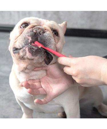 SourceTon Set of 15 Pet Toothbrush Set 5 Dual Headed Toothbrush Dog Toothbrush and 10 Finger Toothbrush for Dental Care of Dog & Cat - Buy Online on GoSupps.com