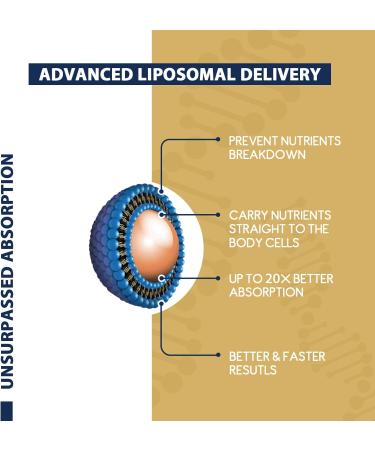 Premium Liposomal NAD+ 500mg with TMG 250mg Softgels - Cellular Repair & Energy Support (180 Count) - Buy Online on GoSupps.com