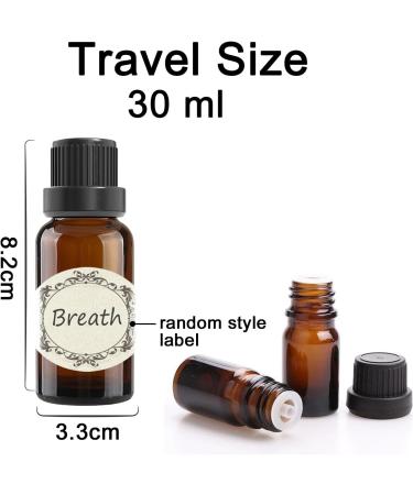Alledomain 5Pcs 30ml Amber Glass Essential Oils Bottles with Black Cap/Dropper/Label Empty Bottle Refillable Sample Container for Massage oil/Aromatherapy/Perfume/Fragrance Oil 5pcs * 30ml - Buy Online on GoSupps.com