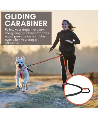 Non-stop dogwear CANIX-Belt 123X | Maximum Safety & Minimum Weight | Size L | International Shipping - Buy Online on GoSupps.com