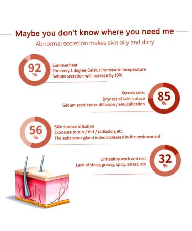 Oil Absorbing Roller - Natural Volcanic Stone Facial Oil Control Stick & Mini Massager | Best for Oily Skin - Buy Online on GoSupps.com