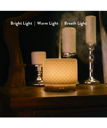Essential Oil Diffuser 280ml - Aromatherapy Humidifier for Large Rooms | Sleep Mode 4 Timers 3 Light Modes Auto-Off Feature - Buy Online on GoSupps.com