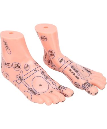 Acupuncture Point Model for Human Feet | Reflex Zone Massage Learning Tool | Durable PVC | Ideal for Hospitals & Education - Buy Online on GoSupps.com