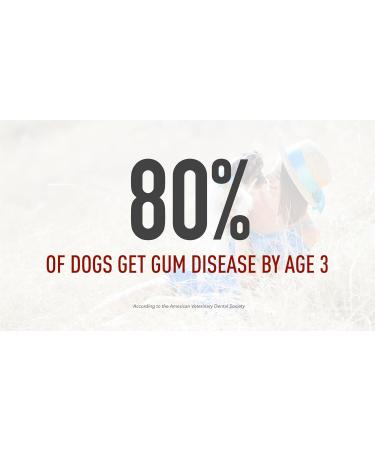 All Natural Organic Dog Toothpaste - Veterinarian Formulated Tartar Removal & Gum Health 5oz Spear Mint Made in USA - Buy Online on GoSupps.com