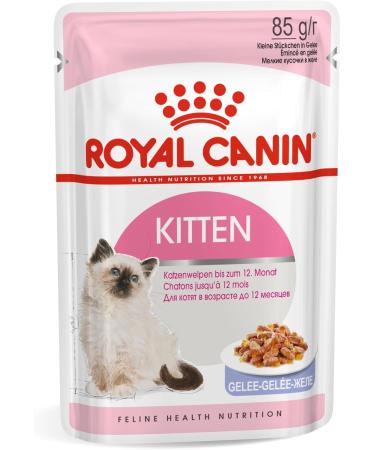 Royal Canin Kitten in JELLY Wet Adult Cat Food (24 x 85g)