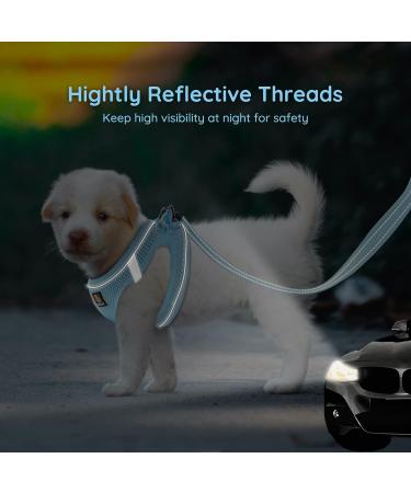 Shop Bella & Pal Dog Harness for Small Dogs | Step-In Air Mesh Reflective & Breathable Design with Leash - Sky Blue (L: 42-50cm) - Buy Online on GoSupps.com