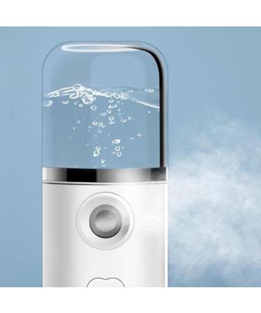 barenx Pulv risateur vapeur portable nano ionique pour le visage pour le maquillage hydratant ajouter du toner et du lait pur Blanc - Buy Online on GoSupps.com