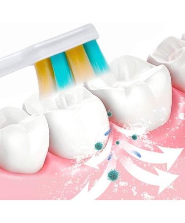 Buy WXPJMDFC Ultrasonic Toothbrushes - Pack of 4 for Adults & Kids | 10 000 Micro-Nano Bristles - Perfect for Pregnancy & Optimal Oral Care - Buy Online on GoSupps.com