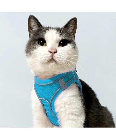 Joyal Dog Harness & Reflective Soft Padded Dog Dishes - Air-Mesh Breathable Chest Harness for Cats & Small Dogs (XXS Baby Blue Size 31-34cm) - Buy Online on GoSupps.com