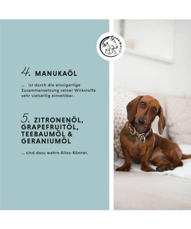 Annimally Animal Skin-Care Spray for Dogs Horses & Small Animals | 100% Natural Dry Skin Relief with Aloe Vera Tea Tree Oil & Dead Sea Salt - Buy Online on GoSupps.com