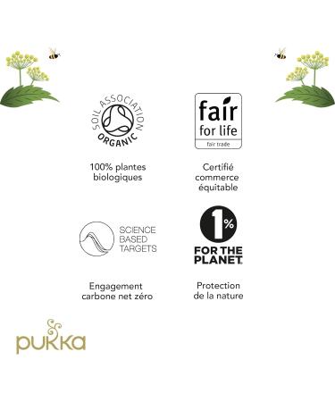 Pukka Routine Cha 6 Th s et Infusions Biologiques et Ayurv diques : Cha Original Cha la Vanille 100% des Ingr dients Issus du Commerce quitable 120 Sachets Lot de 6x20 sachets - Buy Online on GoSupps.com