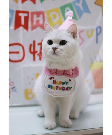 Cute Cat & Dog Birthday Party Supplies - Pink Birthday Bandana & Hat Set - Buy Online on GoSupps.com