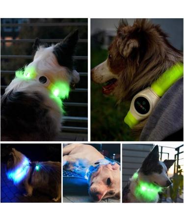 Laroo LED Dog Collar - USB Rechargeable Night Safety Luminous Collar for Small Medium Large & Long-Haired Dogs - 3 Modes 65cm x 2.5cm Blue - Buy Online on GoSupps.com