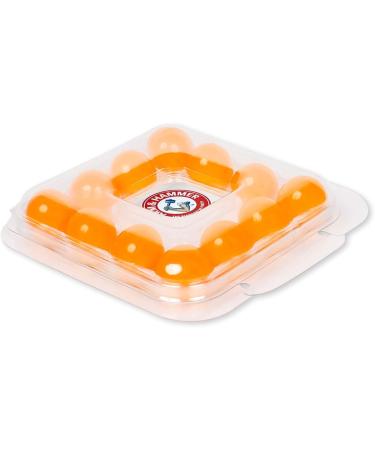 Arm & Hammer 24-Count Sink Garbage Disposal Cleaner & Deodorizer Capsules - Citrus Scent - Pack of 2 - Buy Online on GoSupps.com