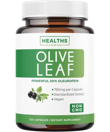 Olive Leaf Extract (Non-GMO) Super Strength: 20% Oleuropein - 750mg - Vegetarian - Immune Support Supplement  Skin Health  and Powerful Antioxidants Supplement - No Oil or Liquid - 120 Capsules 120 Count (Pack of 1)
