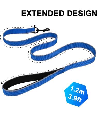 DOKI Reflective Double-Sided Nylon Dog Lead with Padded Handle - 1.2m Strong Leash for Small, Medium, Large Dogs (3.9FT Blue) - Buy Online on GoSupps.com