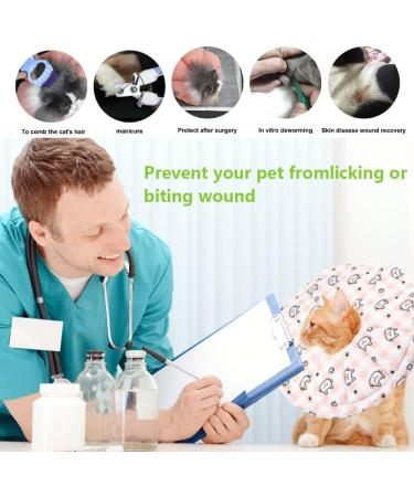 Adjustable Soft Cat Recovery Collar | Lick Protection for Post-Surgery & Injured Cats (Size S) - Buy Online on GoSupps.com