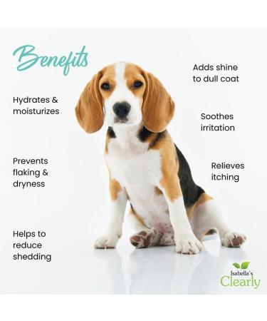 Clearly SKIN & COAT Topical Oil for Dogs | Relieve Dry Itchy Skin Add Shine to a Dull Coat Reduce Shedding with Coconut Olive and Almond Oils | Vegan Pet Product Made in The USA - Buy Online on GoSupps.com