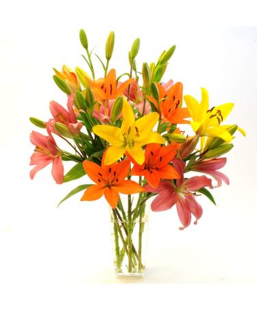 Stargazer Barn Autumnal Sunrise Bouquet Large Royal Lilies with Vase Freshly Cut from our farm- California Grown, Fresh Flowers, 30 Count