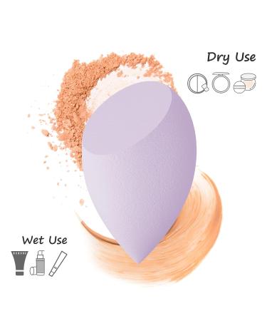Makeup Sponge Set for Flawless Face - Includes Blender, Holder for Easy Storage - Ideal for Foundation & Powder - Buy Online on GoSupps.com
