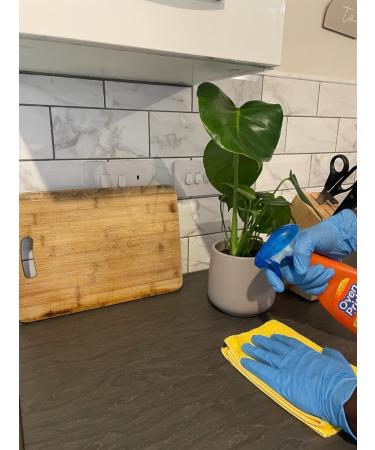 2X Oven Pride Daily Oven and Kitchen Degreaser Spray- 2X 500ml- Removes Tough Grease from Ovens Hobs Extractors Kitchen Surfaces - with Scrubbing Pad 2X Oven Pride Degreaser Spray + Scrubbing Pad - Buy Online on GoSupps.com
