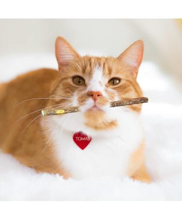 Natural Cat Catnip Silvervine Sticks Cat Sticks Pet Kitten Cleaning Teeth Healthy Care Cat Molar Toothpaste Snacks Fovolat - Buy Online on GoSupps.com