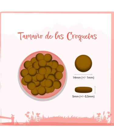 Wild Animal Premium Dry Dog Food Salmon with Trout Sweet Potato and Asparagus Grain Free Pack of 1 (1 x 12 kg) - Buy Online on GoSupps.com