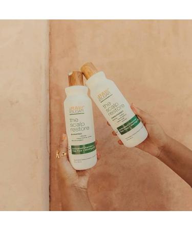 Raw Sugar Scalp Restore Hair Care Bundle - Tea Tree Shampoo & Conditioner Set with Activated Charcoal & Moringa Oil | Sulfate & Paraben Free - Buy Online on GoSupps.com
