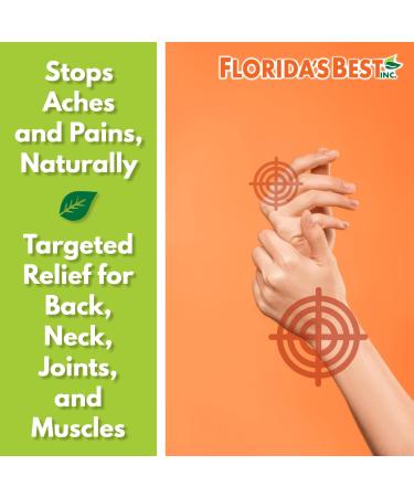 APR Balm Liniment #21 - 16 FL OZ Relief for Back Neck & Joints | Fast-Acting Eucalyptus & Peppermint Lotion | American Made Family Owned - Buy Online on GoSupps.com