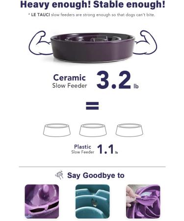 LE TAUCI Ceramic Slow Feeder Dog Bowl - Medium 1.5 Cups Maze Purple - Non-Slip & Chew-Resistant Puppy Food Bowl for Fast Eaters - Buy Online on GoSupps.com