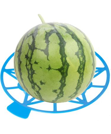 Pumpkin Support Anti-corrosion Wear-resistant Excellent Watermelon Squash Pumpkin Protector Cradle Blue - Buy Online on GoSupps.com