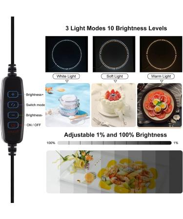 16x16 Photo Light Box for Product Photography - Quick Install, Professional Studio with Dimmable Lights and 12 Color Backgrounds - Buy Online on GoSupps.com