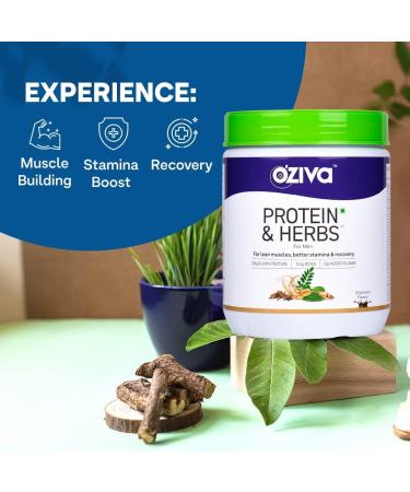 Protein & Herbs for Men - Muscle Building & Recovery | 23g Whey Protein Isolate 5.5 BCAAs Sugar-Free Certified Clean Chocolate Flavor - 500g - Buy Online on GoSupps.com