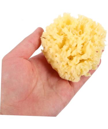 minkissy Moisturizer Bath Sponge Exfoliating Body Sponge Sea Sponge Yellow Sponge Bath Body Sponges for Shower Exfoliating Sea Sponges for Bathing Greece Natural - Buy Online on GoSupps.com