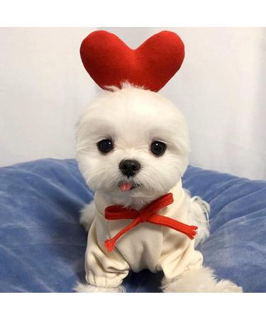 Xiaoyu Pet Clothing: Warm Dog Hoodies & Sweatshirts for Autumn/Winter | Cute Fruit Hood Design - Buy Online on GoSupps.com