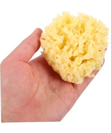 PLAFOPE Moisturizer Sponge for Body Shower Bath for Shower Body Natural for Bathing Sponge Bath Natural for Body Bath Sponge for - Buy Online on GoSupps.com