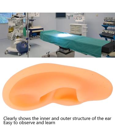 Soft Silicone Rubber Fake Ear Model for Hearing Tools and Jewelry - Right Ear Display - Buy Online on GoSupps.com