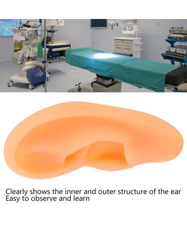 Soft Waterproof Right Ear Display Mould for Hospitals - Flexible & Lifelike Model - Buy Online on GoSupps.com