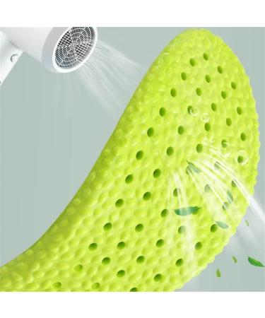 CSCDD Wormwood Insoles - Deodorant Breathable Shock-Absorbing Orthopedic Running Insoles for Size 45-46 - Buy Online on GoSupps.com