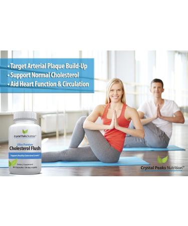 Cholesterol Supplement - Natural Ingredients for Healthy HDL and LDL Levels, Arteries, Heart & Circulation - 60 Capsules - Buy Online on GoSupps.com