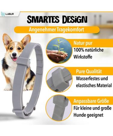 Lubur Flea & Tick Collar for Dogs & Cats - Natural 8-Month Protection Against Fleas & Ticks - Black Color - Buy Online on GoSupps.com