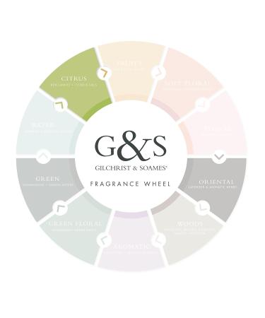 Gilchrist & Soames Fresh Citrus Hand Wash 15.5oz - Luxury Hand Soap for International Shipping - Buy Online on GoSupps.com