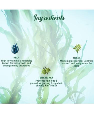 Biotique Kelp Fresh Growth Protein Shampoo for Fine and Thinning Hair 120ml - Buy Online on GoSupps.com